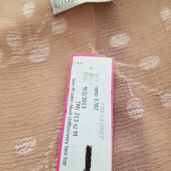 2for$50 Vintage Blush Chiffon & Lace Blouse - Picture 7 of 8